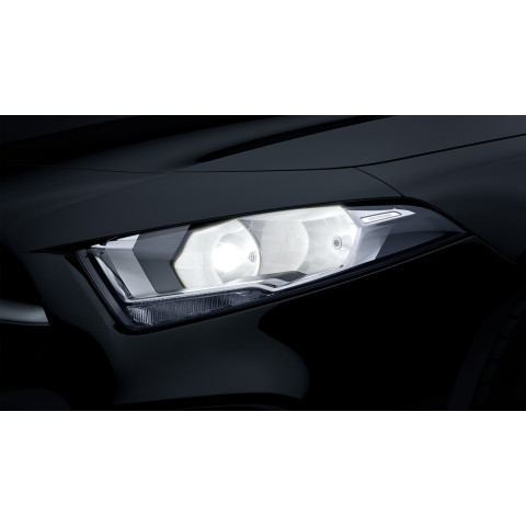 Adaptive High Beam Assist