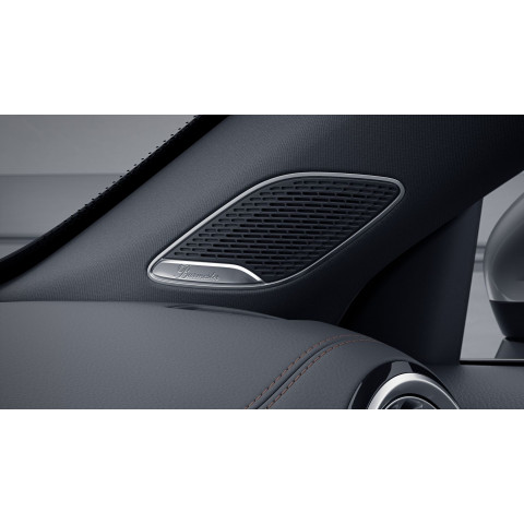 Burmester Surround Sound System