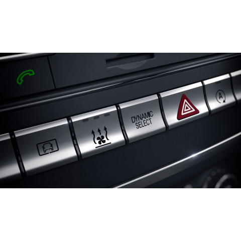 Dynamic Select