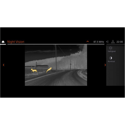 Night Vision